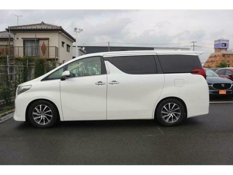 ALPHARD-10