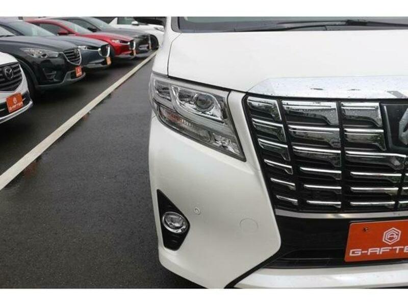 ALPHARD-12