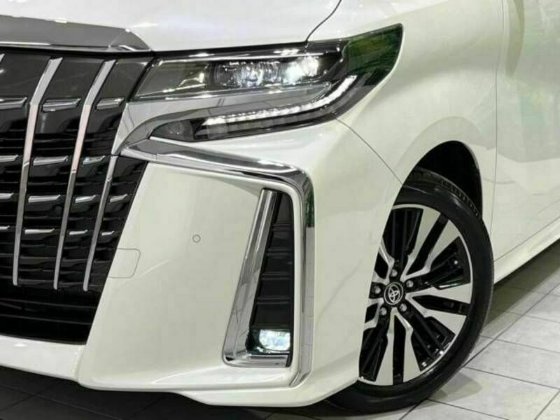 ALPHARD-13