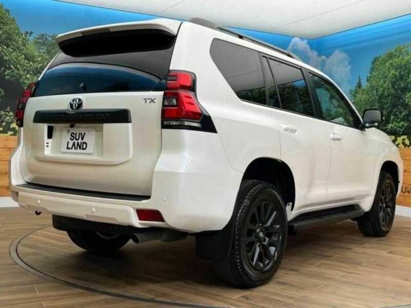 LAND CRUISER PRADO-17