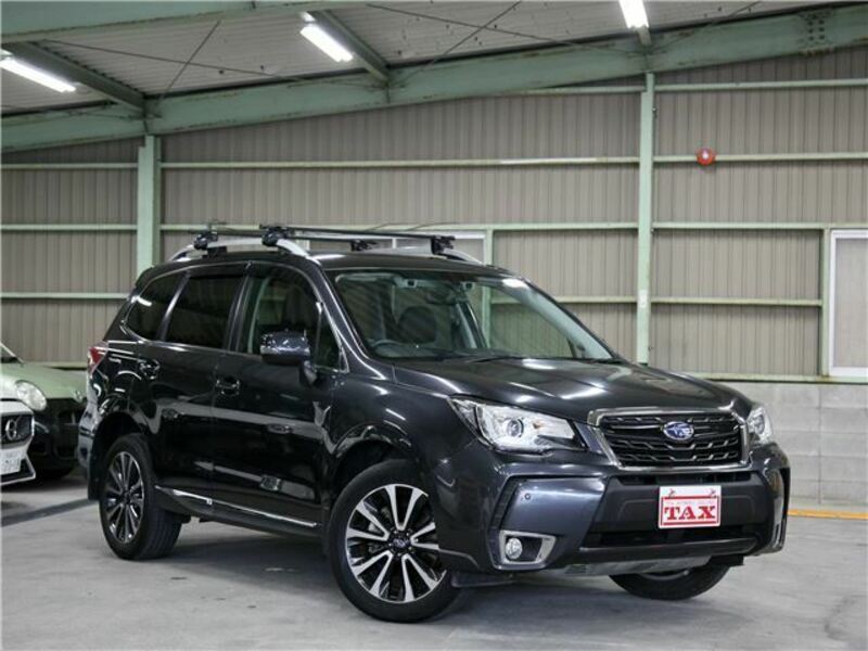 FORESTER-29
