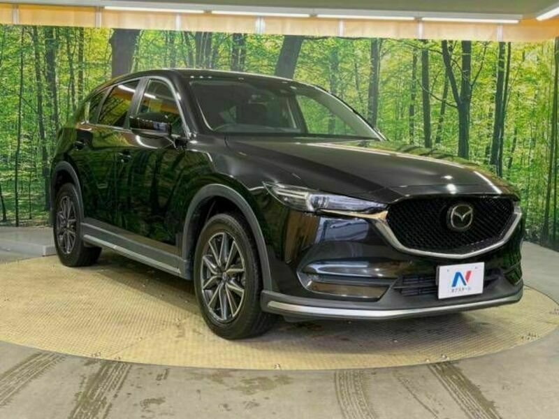 CX-5-16