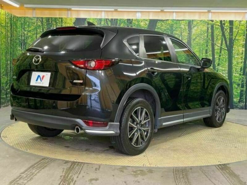 CX-5-17