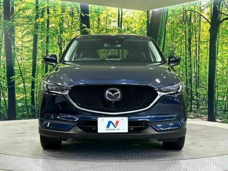 CX-5-14