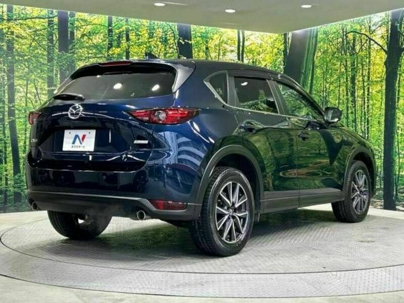 CX-5-17