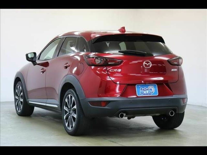 CX-3-19