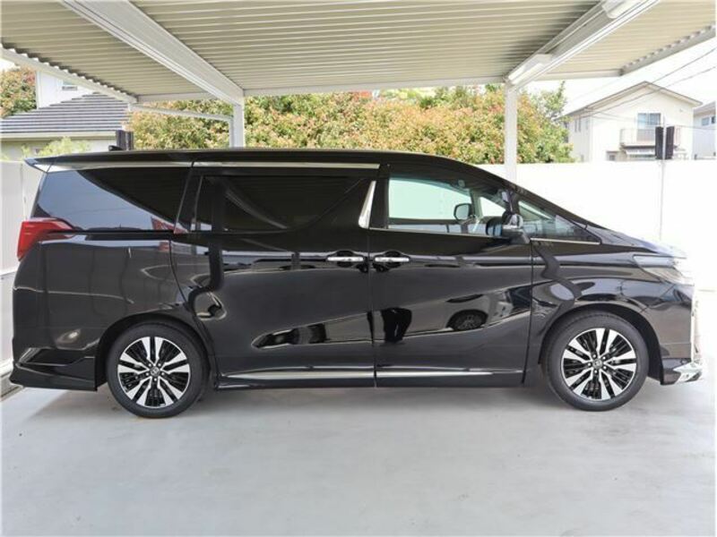 ALPHARD-6