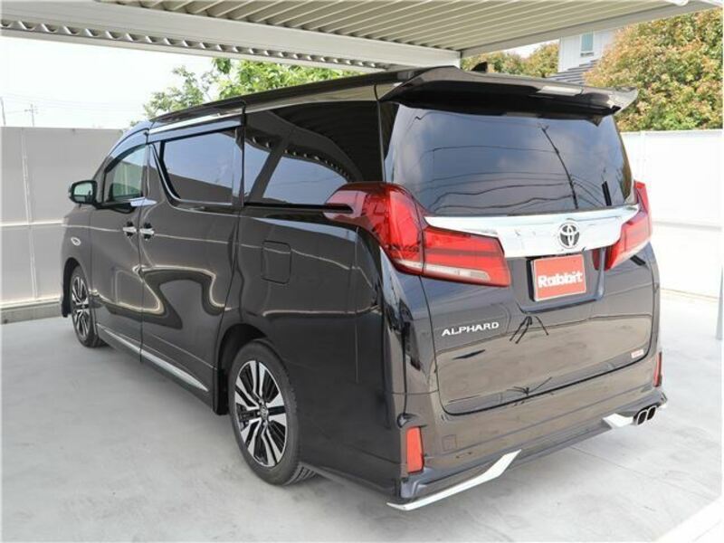 ALPHARD-10