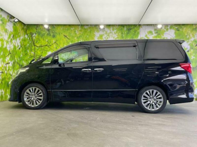 ALPHARD-1