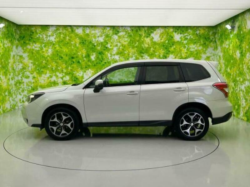 FORESTER-1