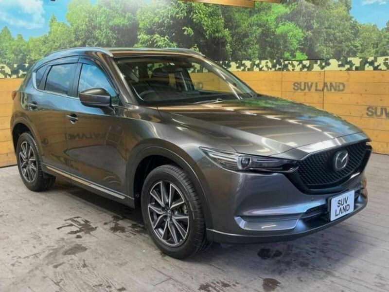 CX-5-16