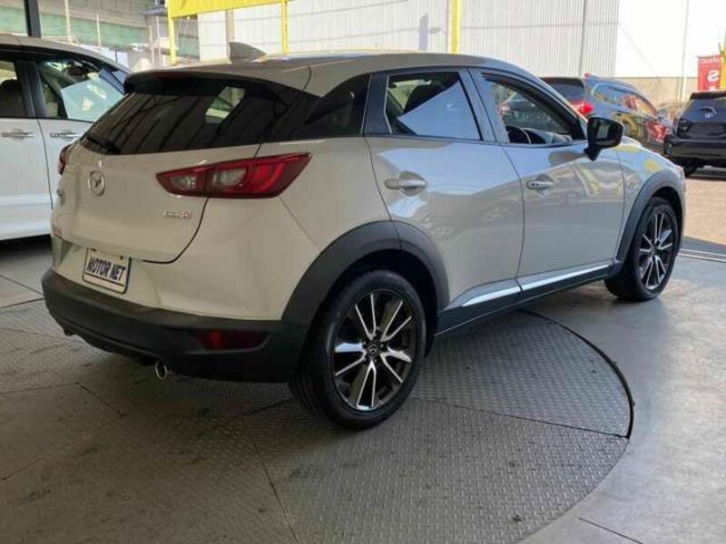 CX-3-19