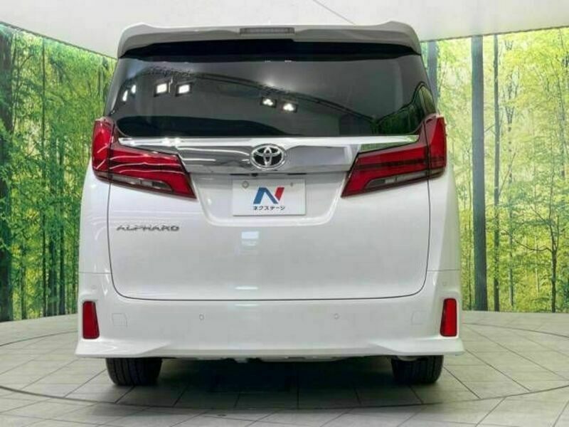 ALPHARD-16