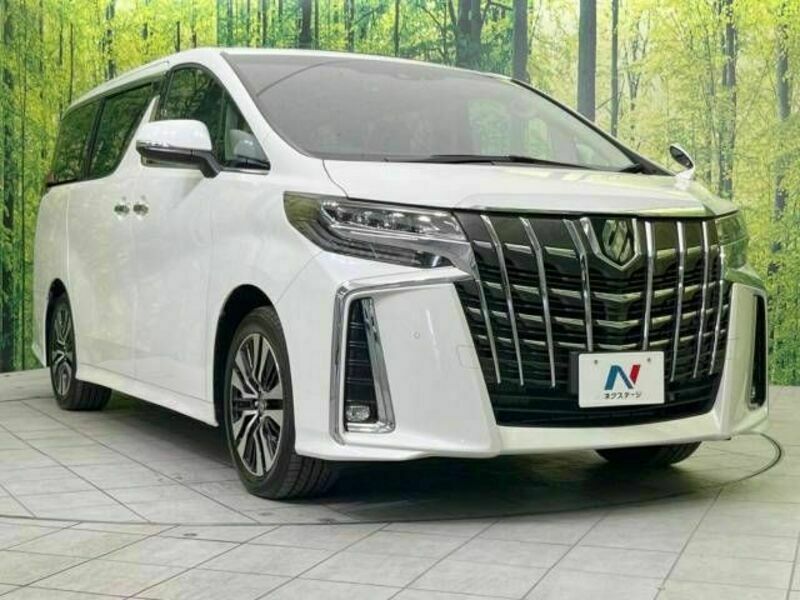 ALPHARD-17