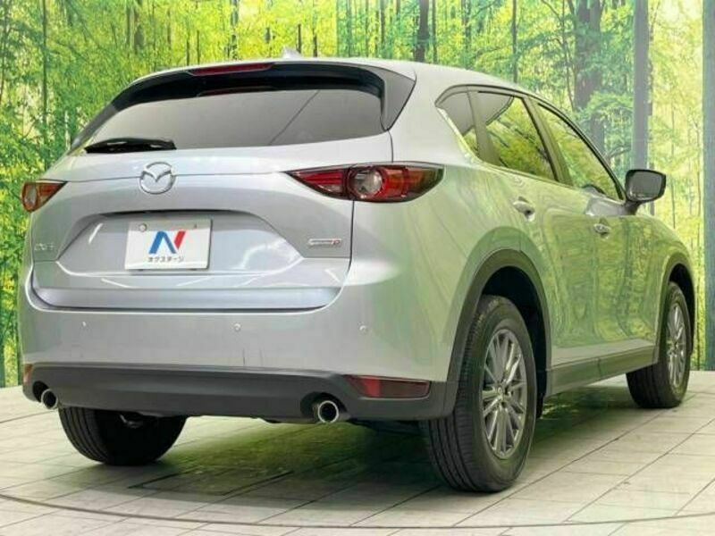 CX-5-17