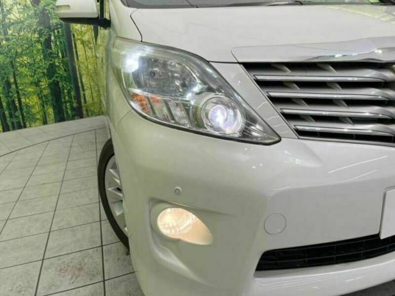 ALPHARD-13