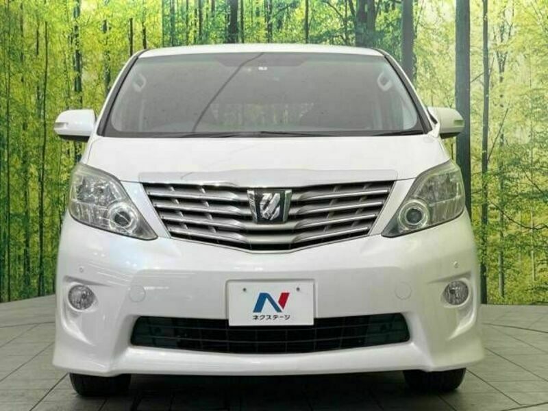 ALPHARD-15