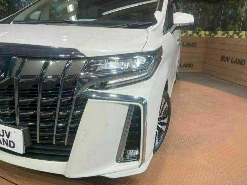 ALPHARD-11