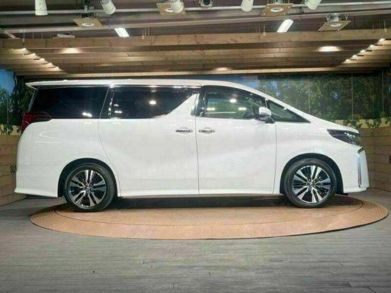 ALPHARD-17