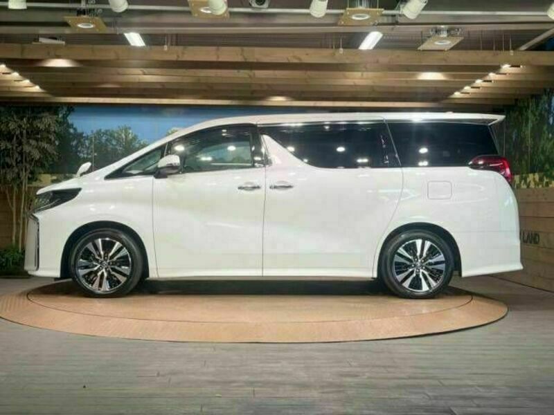 ALPHARD-18