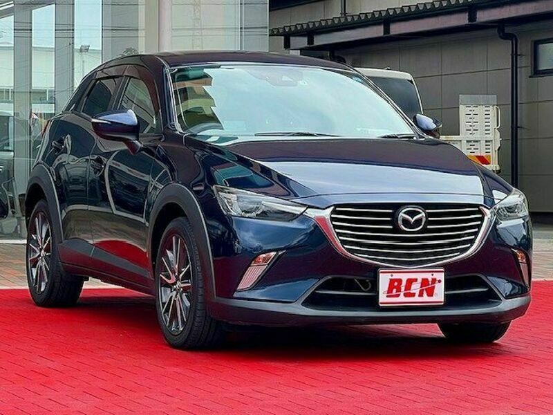 CX-3-6