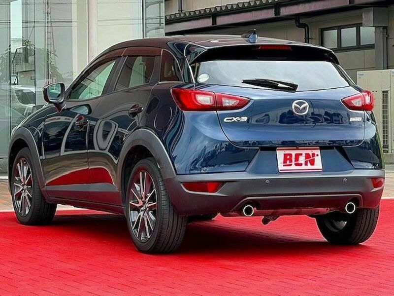 CX-3-8