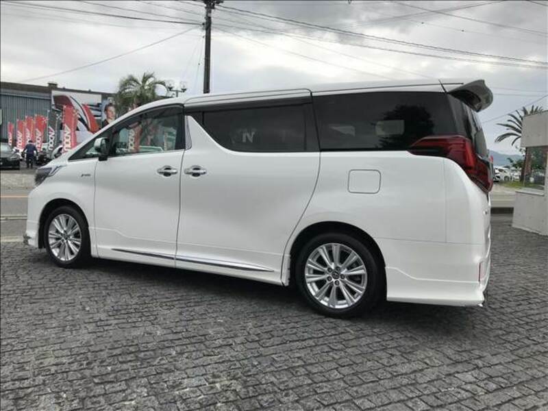 ALPHARD-1