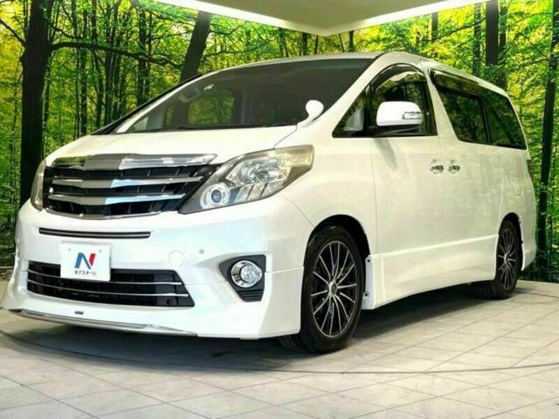 ALPHARD-16