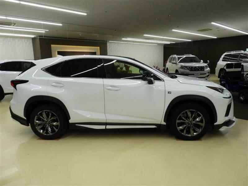 Used 2019 LEXUS NX DBA-AGZ15 | SBI Motor Japan