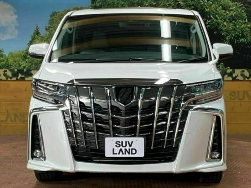 ALPHARD-15