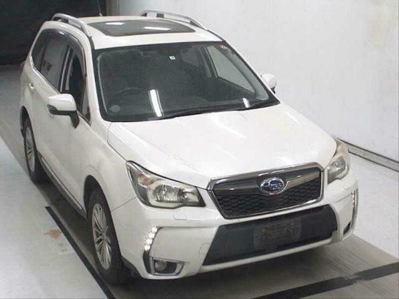 FORESTER-30