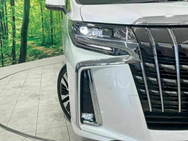 ALPHARD-13