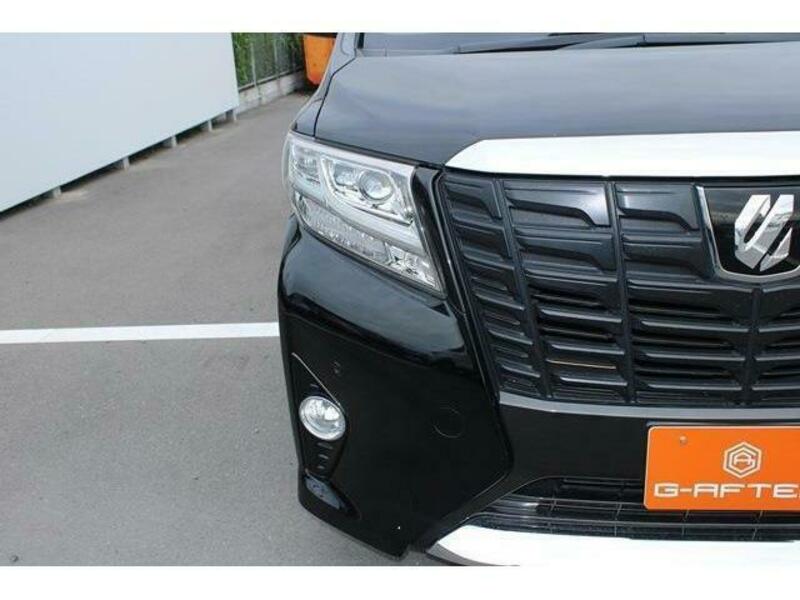 ALPHARD-12