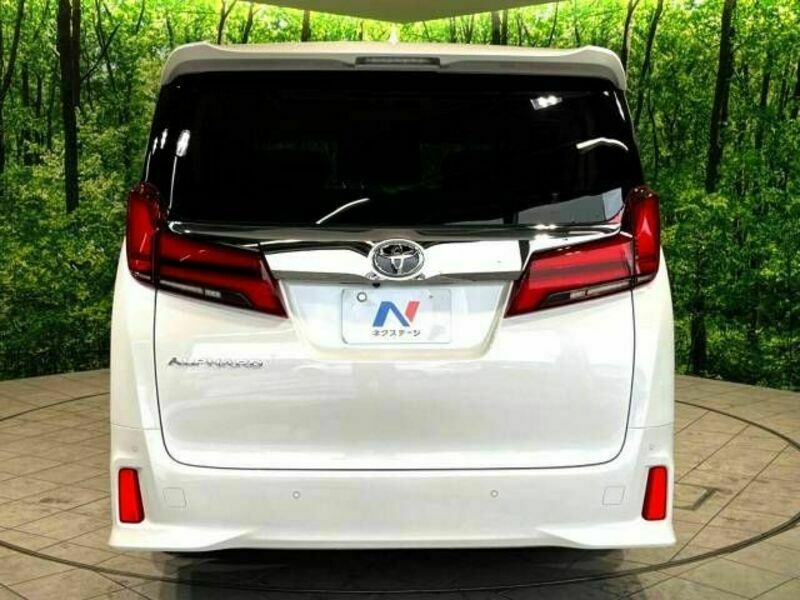 ALPHARD-17