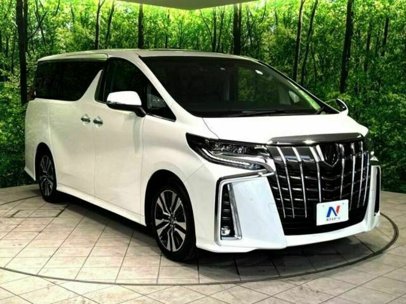 ALPHARD-18