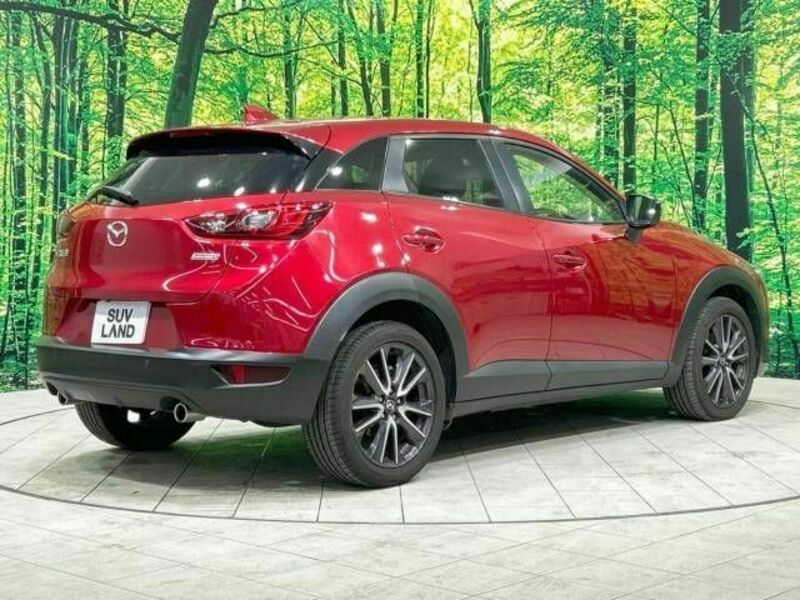 CX-3-17