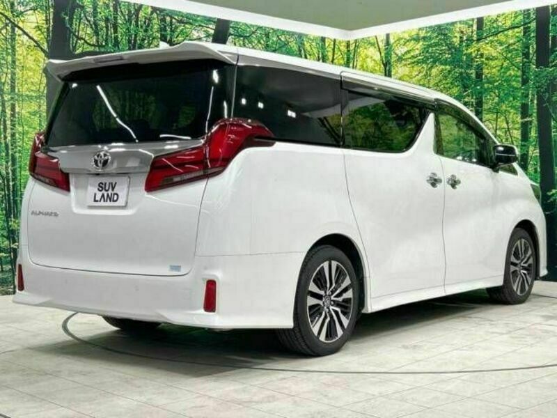 ALPHARD-18