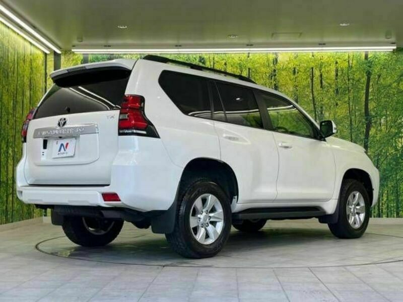 LAND CRUISER PRADO-19