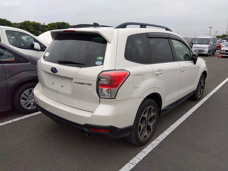 FORESTER-2