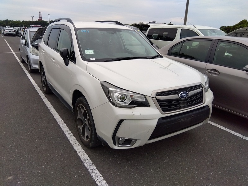 FORESTER-1