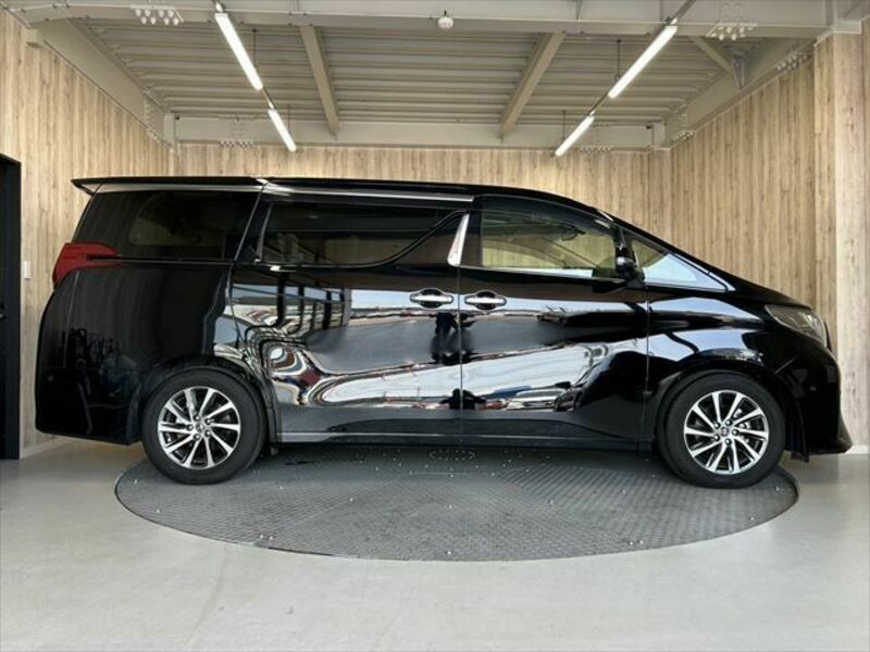 ALPHARD-18