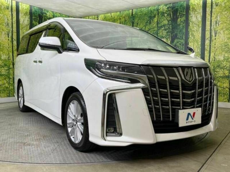 ALPHARD-16