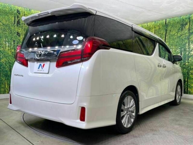 ALPHARD-17