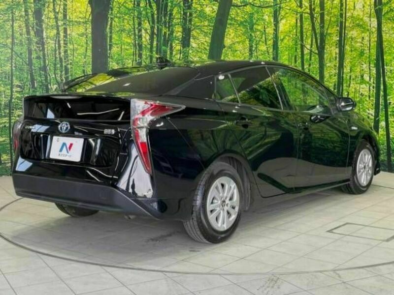 PRIUS-17