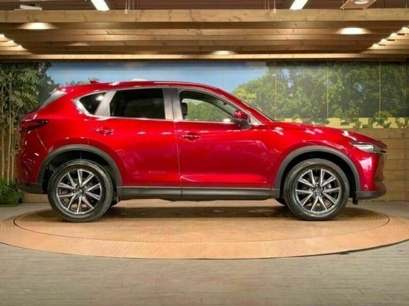 CX-5-19