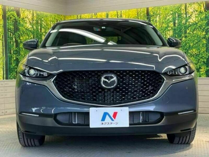 CX-30-14