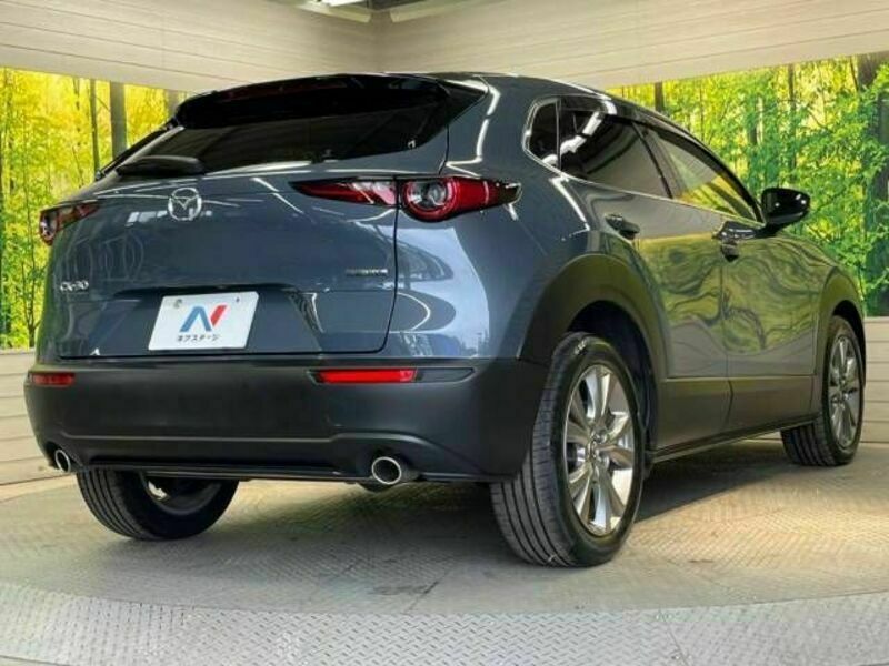 CX-30-17