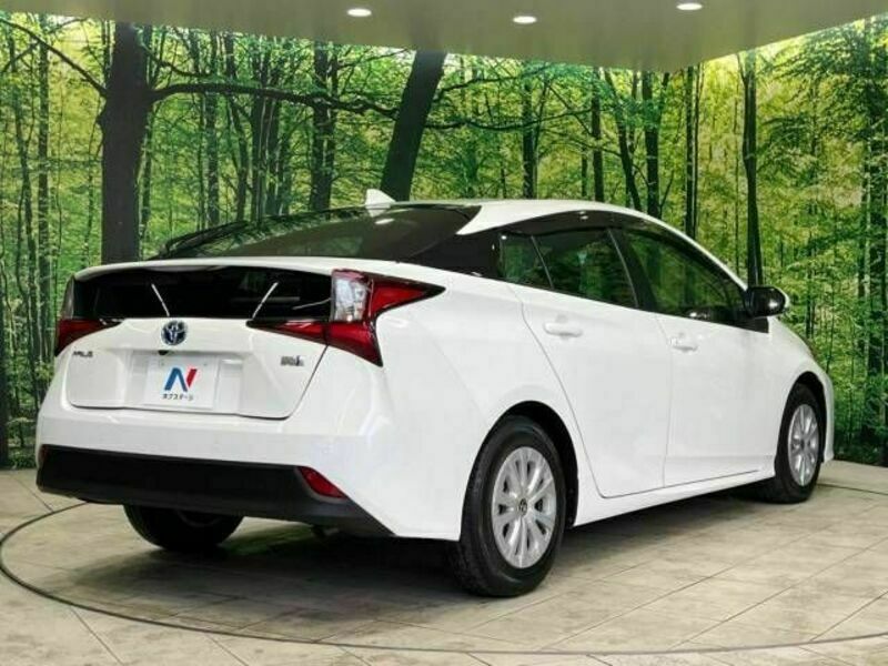 PRIUS-19