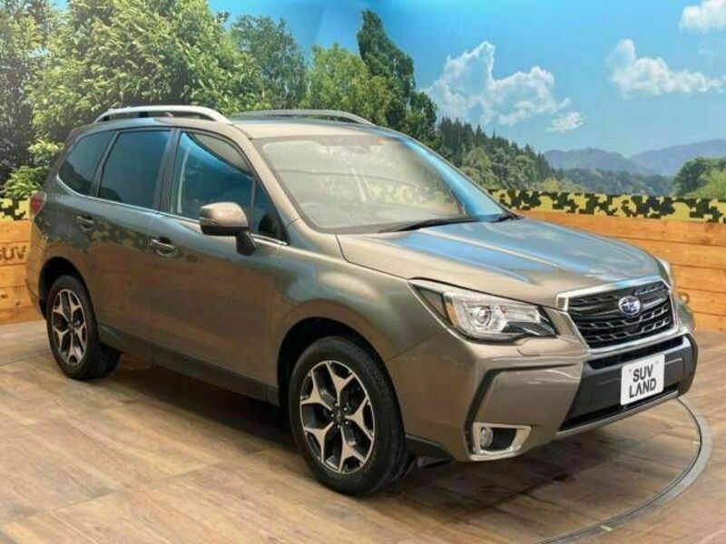 FORESTER-16