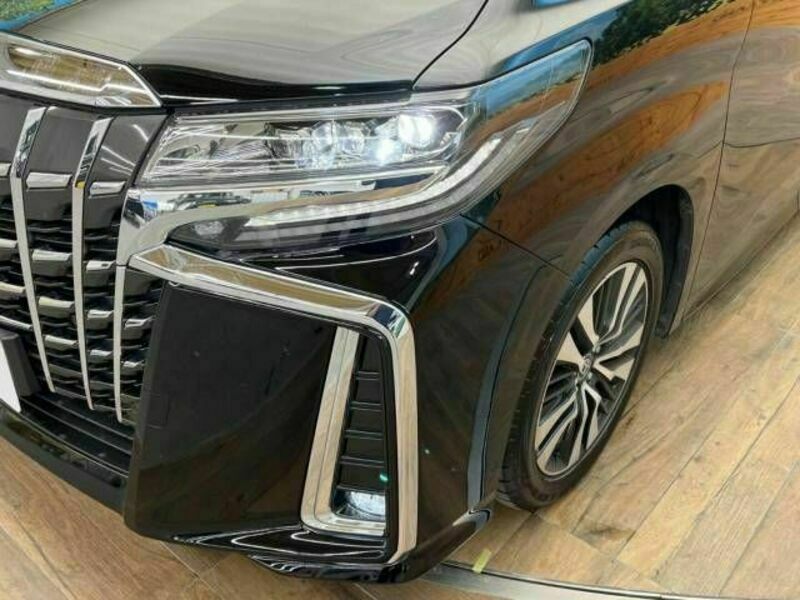 ALPHARD-12